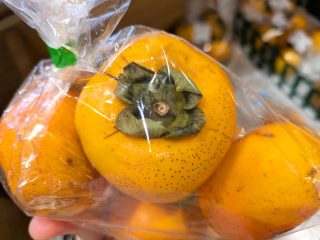 【　柿人気です！🍊　】

こんにちは！
甘くてジューシーな秋の果物「柿」が続々と入荷しております✨
おかげさまで、たくさんのお客様にご購入いただいております！ありがとうございます😊

近年はくまによる被害もあり、柿の収穫も命がけ…！😢
そんな中、丹精込めて収穫された貴重な柿が並んでいます。

今年は天候の影響で見た目が少し不揃いですが、味は変わらずとっても美味しいです！

甘柿のほか、渋柿・干し柿用もございますので、用途に合わせてお選びください🍂

ぜひ秋の味覚をお楽しみくださいませ！
ご来店お待ちしております♪

#道の駅 #道の駅ふたつい #柿 #秋の果物 #フルーツ #産直 #新鮮 ##秋田 #能代市 #能代 #二ツ井町 #二ツ井 #秋田おでかけ #秋田旅行 #秋田ドライブ #子連れ #道の駅巡り #新鮮 #秋田県