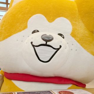 【　秋田犬たれみみだいちゃん来店しました🐶　】

こんにちは！
本日、秋田ケーブルテレビの秋田犬キャラクター『秋田犬たれみみだいちゃん』が当駅へ来店しました！超かわいい。
＠akitainu_taremimi_daichan 

あいにくの雨でしたが、だいちゃんは産直コーナーでお買い物をしたり、景色を眺めながら ジェラソフトのお芋サンデー を堪能🍠✨
お客様も「かわいい〜！」と写真を撮ったり握手したり、ふれあいを楽しんでいました！

おしりもおなかもむちむちでかわいい…。もふもふ…。癒し。

だいちゃんについての詳細は
「秋田犬たれみみだいちゃん」と検索してください！
https://akitainubito.com/
今回撮影した内容は後日だいちゃんのSNSにて投稿するとのことです！楽しみ～！

皆様だいちゃんの応援よろしくお願いします♪

#道の駅 #道の駅ふたつい #秋田犬たれみみだいちゃん #たれみみだいちゃん #秋田犬 #秋田ケーブルテレビ #秋田犬 #ご当地キャラクター #秋田県 #秋田 #能代市 #能代 #二ツ井町 #二ツ井 #秋田観光 #能代観光 #秋田旅行 #秋田を旅しよう #道の駅巡り