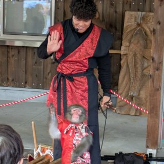 【　✨日本伝統芸能猿まわし公演開催中✨　】

こんにちは！
本日、屋根イベント広場にて、
日本伝統芸能猿回し公演を開催しております！
1日だけの特別公演です✨✨
今回のコンビは猿天下！小林さん、タオくんペアです👊
公演時間はストーリーに載せておりますが、
午後からだと①13時、②13時45分、③14時30分、④15時15分、⑤16時の予定です！
ぜひお近くの方はこの機会に是非ご覧くださいませ☺

また、キッチンカーはなんと4台！
チュロスもある！そばもある！カレーもある！ガパオライスもある！！！食べて食べて食べまくりましょう( ˘ ³˘)♥

館内の多目的ホールでも2組ハンドメイド出店しております！イベントは16時頃まで開催予定ですので
是非お越しくださいませ☺

お天気は曇り！それほど寒くないです！
ご来店お待ちしておりますー！！！

#道の駅
#道の駅ふたつい
#キッチンカー
#猿回し
#秋田イベント
#秋田県
#秋田
#能代市
#能代
#二ツ井町
#二ツ井