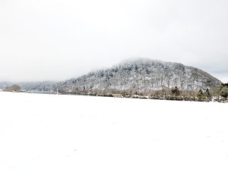 【　雪でまっしろ！⛄　】

こんにちは！

昨日・今日と二ツ井町で初雪が観測されましたが、まさかこんなに積もるとは…！
例年の初雪はぱらっと降る程度ですが、今回はスノーブラシで車の雪おろしをするほどの積雪でした😑
急に冬がやってきて大急ぎでタイヤ交換や冬支度をした方も多いのではないでしょうか😣

日中の気温や明日からの予報を見ると、雪はやみ、これから溶けていくと思います。
ただ、現在道路や駐車場はびちゃびちゃでタイヤが滑りやすくなっています。
外出の際は十分お気をつけください！

また別件ですが、クマ対策のため、当面の間、正面中央の自動ドアを一時閉鎖しております。
お手数ですが、両脇の手動ドアからお入りください。
ご不便をおかけいたしますが、何卒ご理解ご協力のほどよろしくお願いいたします🙇

#道の駅 #道の駅ふたつい #初雪 #雪 #秋田県 #秋田 #能代市 #能代 #二ツ井町 #二ツ井 #秋田観光 #能代観光 #秋田旅行 #秋田を旅しよう #道の駅巡り