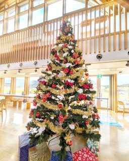 【　クリスマスツリー飾りました！　】

こんにちは！
先日一気に積もった雪もすっかり消え、また秋が戻ってきました🍂
でも季節はすでにクリスマス目前…！

ということで、多目的ホールに 高さ3ｍ超えのクリスマスツリー を飾りました！かわいい！

「もうクリスマス⁉実感がない…」「去年はコロナにかかっていて飾り付け参加できなかった」と会話しながらデコレーション🎄
ホールの天井アーチが高いので小さく見えますが、実はかなり大きいツリーなんですよ…（笑）

これから館内も少しずつクリスマス仕様にしていきます✊✨

さて！クリスマスといえば シュトーレン ✨
明日から、毎年大人気・限定販売の
二ツ井町出身の店主さんが作る、
秋田市洋菓子店「コンディトライ ジン」さんのシュトーレン を販売いたします！

詳細は画像４枚目をご覧ください。
明日、改めてご案内します☺
ご予約受付中✨

*****************************************
【商品名】シュトーレン
【販売期間】11月22日（土）～ ※限定100個・なくなり次第終了
【価　格】①袋入 3,456円
　　　　　②箱入 3,672円

《ご予約受付中》
店頭・電話・メール（HPお問い合わせ）にて、
「お名前・個数・受取日・連絡先」をお知らせください。
*****************************************

#道の駅ふたつい #道の駅 #クリスマスツリー #クリスマス #シュトーレン #道の駅巡り #コンディトライジン #秋田県 #秋田 #能代市 #能代 #二ツ井町 #二ツ井 #秋田観光 #能代観光 #秋田旅行 #秋田を旅しよう