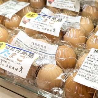 【　二ツ井で長年育てている比内地鶏の卵はいかがですか🐣　】

こんにちは⛄

今回ご紹介するのは
二ツ井町で長年養鶏を営んでいる土田農場さんのたまご🥚
産直コーナーの冷蔵ケースには
二ツ井産比内地鶏たまごやあかたまごがたくさん並んでおります！
*
*
日本三大地鶏の「比内地鶏」。
県が認証する比内地鶏の基準は、
通常「オス100日以上、メス150日以上」ですが、土田さんの比内地鶏の飼育日数は『180日以上』！！のようです。

何十羽にもなれば、長く育てると言っても、 その裏では、多くの手間暇と莫大なコストが積み重なるので、 一般的な養鶏場では、土田さんのような育て方はしないようです！
*
*
また、与える餌にもこだわりが！
ご自身の畑で作った大豆やかぼちゃ、じゃが芋の、キャベツ、とうもろこしなど、有機野菜を4年かけて自らが配合したオリジナル飼料を与え、病気にならない健康な鶏に育てているようです🐔すごい！
*
*
じっくり育てられた比内地鶏のたまごは、黄身が濃く、しっかりとしたコクと旨みがあります✨
たまごかけご飯はもちろん、目玉焼きやスイーツにもおすすめ。
ぜひご賞味くださいませ😊

#道の駅 #道の駅ふたつい #土田農場 #比内地鶏 #たまご #卵 #赤たまご #秋田県 #産直 #新鮮 #能代市 #能代 #二ツ井町 #二ツ井 #秋田おでかけ #秋田旅行 #秋田ドライブ #子連れ #道の駅巡り #秋田