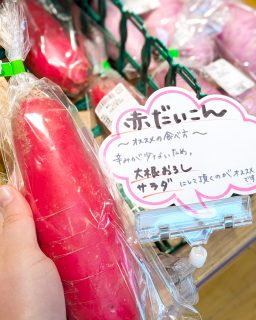 【　大根いかがですか！！　】

こんにちは😊

今日のおすすめ野菜は「大根」！
二ツ井町や能代市、北秋田市産の美味しい大根、たくさん入荷していますよー！
一般的な大きい大根のほか、サラダにおすすめな赤だいこんやビタミン大根、中身がピンク色の紅心大根などがございますので是非お召し上がりください！！

今夜は煮物、お鍋にしませんか♡
ご来店お待ちしております！

#道の駅 #道の駅ふたつい #大根 #赤だいこん #新鮮 #産直 #産直野菜 #秋田県 #能代市 #能代 #二ツ井町 #二ツ井 #秋田おでかけ #秋田旅行 #秋田ドライブ #子連れ #道の駅巡り #秋田