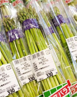 【　能代特産のアスパラいかがですか！　】

こんにちは⛄
大雪で困っちゃう😑😑😑😑😑
皆様お体にお気をつけてお過ごしください！

さて、今日のおすすめは、
自然豊かな能代市で育った
能代産の 『アスパラ』 ✨

能代は山と海に囲まれた自然環境に恵まれ、昼夜の寒暖差が大きい地域。
そんな環境で育つアスパラは、
能代の特産物のひとつ として親しまれています！

アスパラガスは、
・促成栽培
・露地栽培
の 2種類の方法 で栽培されており、
促成物は今の時期がピーク を迎えています。

寒暖の差を最大限に活かして育ったアスパラは、穂先がびっしりと締まり、
濃厚な甘みとみずみずしさ が特徴です✨

ぜひご賞味くださいませ😊

#道の駅 #道の駅ふたつい #アスパラ #特産品 #新鮮 #新鮮野菜 #アスパラガス #秋田県 #秋田 #能代市 #能代 #二ツ井町 #二ツ井 #秋田観光 #秋田旅行 #秋田ドライブ #秋田を旅しよう #能代観光 #産直