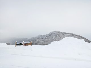 【　七座山と雪座山？⛄　】

こんにちは⛄

道の駅ふたついの裏手にある
「七座山（ななくらやま）」 の前に、
なんと七座山の形そっくりな雪山ができていました（笑）

まさかの ダブル七座山！（笑）
偶然にしてはすごい光景で思わずほっこり…。いいものが見られました😊

……とはいえ、
道の駅がある 二ツ井町では連日大雪 が続いています。
ホワイトアウトになることもしばしば。いつまで続くの…。

日中の最高気温も－３℃。
裏手には立派な つらら ができています。芸術的…。

除雪をしてもしても雪が降り続き、
作業が追いついていない状況です😢
また、除雪した雪山もかなり高くなっており、場所によっては 見通しが悪く なっています。

ご不便をおかけいたしますが、道の駅へお立ち寄りの際は十分にお気をつけください🙇🙇

また、連日の大雪で雪かき作業、皆様本当にお疲れ様です。
どうか無理をなさらず、
お体に気をつけてお過ごしください。

できるだけ 不要不急の外出はお控え いただき、外出される際は、
道路の凍結に十分ご注意ください！

#道の駅 #道の駅ふたつい #七座山 #雪 #秋田県 #秋田 #能代市 #能代 #二ツ井町 #二ツ井 #秋田観光 #能代観光 #秋田旅行 #秋田を旅しよう #道の駅巡り #大雪 #冬の秋田
