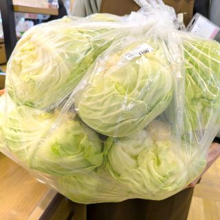 【　大袋キャベツ入荷しました！　】

すご…！！
こんにちは😊

道の駅ふたつい・冬の名物、
大館市「佐藤ファーム」さんの
《大袋キャベツ》が入荷しました！

１袋の中にいっぱいキャベツがはいいています！！
本日入荷分は B品でやや小ぶり とのことですが、
それでも 約10kg入り 😳
そしてお値段は…
✨ 1袋 1,100円！！ ✨
お買い得すぎる…！

※日によって
・キャベツの大きさ
・価格
は異なります。
また、1日数量限定となります。

📌 ご注文はできませんが、
入荷している場合はお取り置き可能です。 1月中は入荷予定！

もちろん、
🥬 バラ売りキャベツ もたくさんご用意しています！

大人気商品のため あっという間に完売することも。
ぜひお買い求めくださいませ😊

ご来店をお待ちしております🌼

#道の駅 #道の駅ふたつい #キャベツ #新鮮野菜 #新鮮 #お買い得 #大袋 #まとめ買い #秋田県 #秋田 #能代市 #能代 #二ツ井町 #二ツ井 #秋田観光 #秋田旅行 #秋田ドライブ #秋田を旅しよう #能代観光 #産直