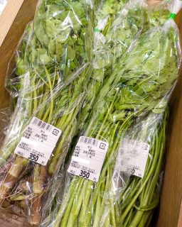 【 今日のおすすめ 】

こんにちは⛄
昨日は強風、今日は雪…天気は大荒れですが、
産直コーナーには新鮮な山菜やお野菜が続々入荷しています！

出荷量が増えてきたのは、
生産者さんのハウス周辺の雪が溶けて
畑に行きやすくなってきたことも理由の一つだそうです😊

今日のおすすめは
・シャキシャキ食感のセリ
・でっっかい一玉まるごと白菜
・食べやすい茎ブロッコリー「スティックセニョール」♪

道路状況が変わっていますので、
お立ち寄りの際は十分お気をつけてお越しください。
ご来店お待ちしております！

#道の駅 #道の駅ふたつい #産直 #白菜 #スティックセニョール #セリ #新鮮 #新鮮野菜 #秋田県 #秋田 #能代市 #能代 #二ツ井町 #二ツ井 #秋田観光 #秋田おでかけ #秋田旅行 #秋田を旅しよう #能代観光